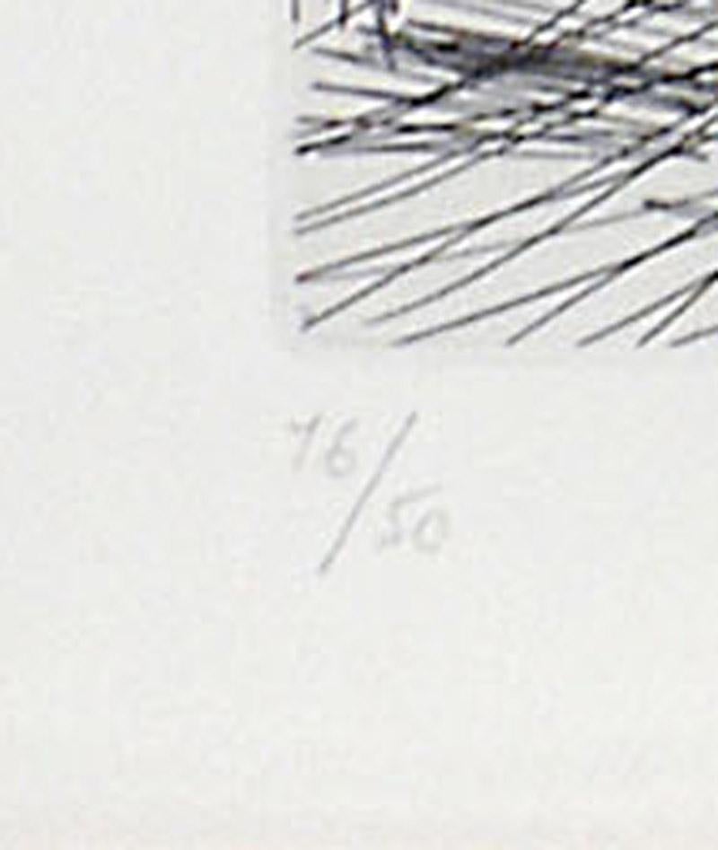 Série 156 : 081 Degas en Jaquette, se dessinant lui-mme, en Habit, chez les Fil en vente 2