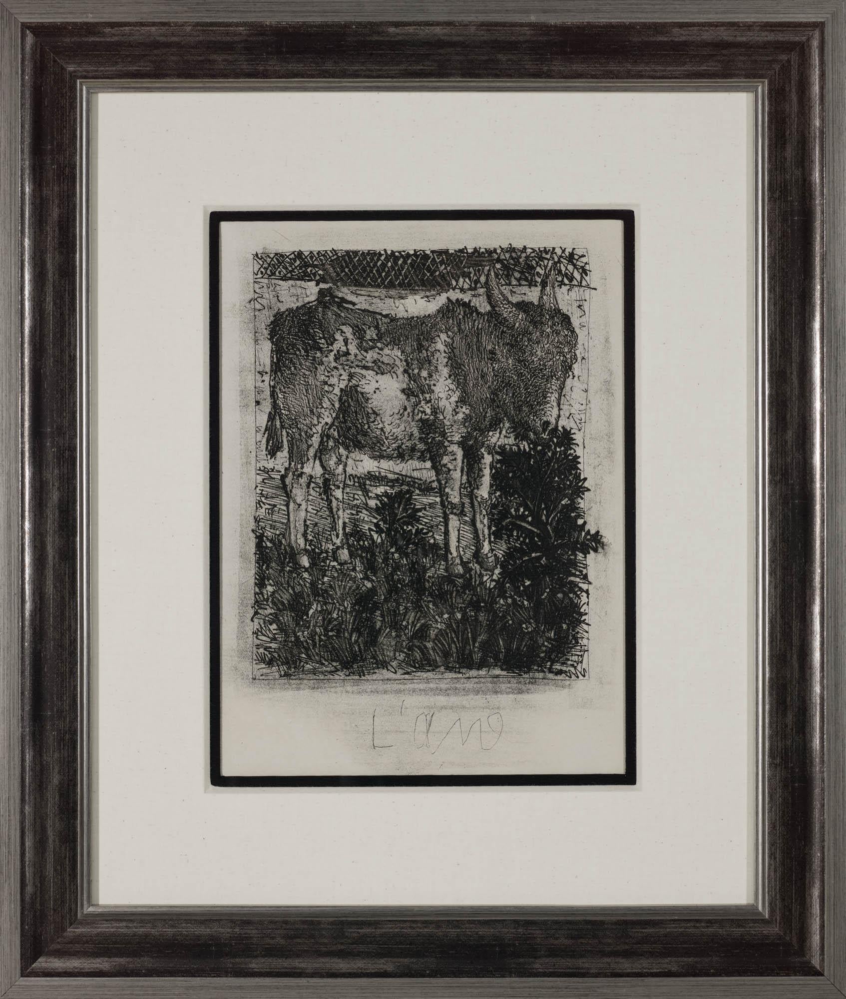 The Donkey, 1942 (Histoire Naturelle - Textes de Buffon, B.329) – Print von Pablo Picasso