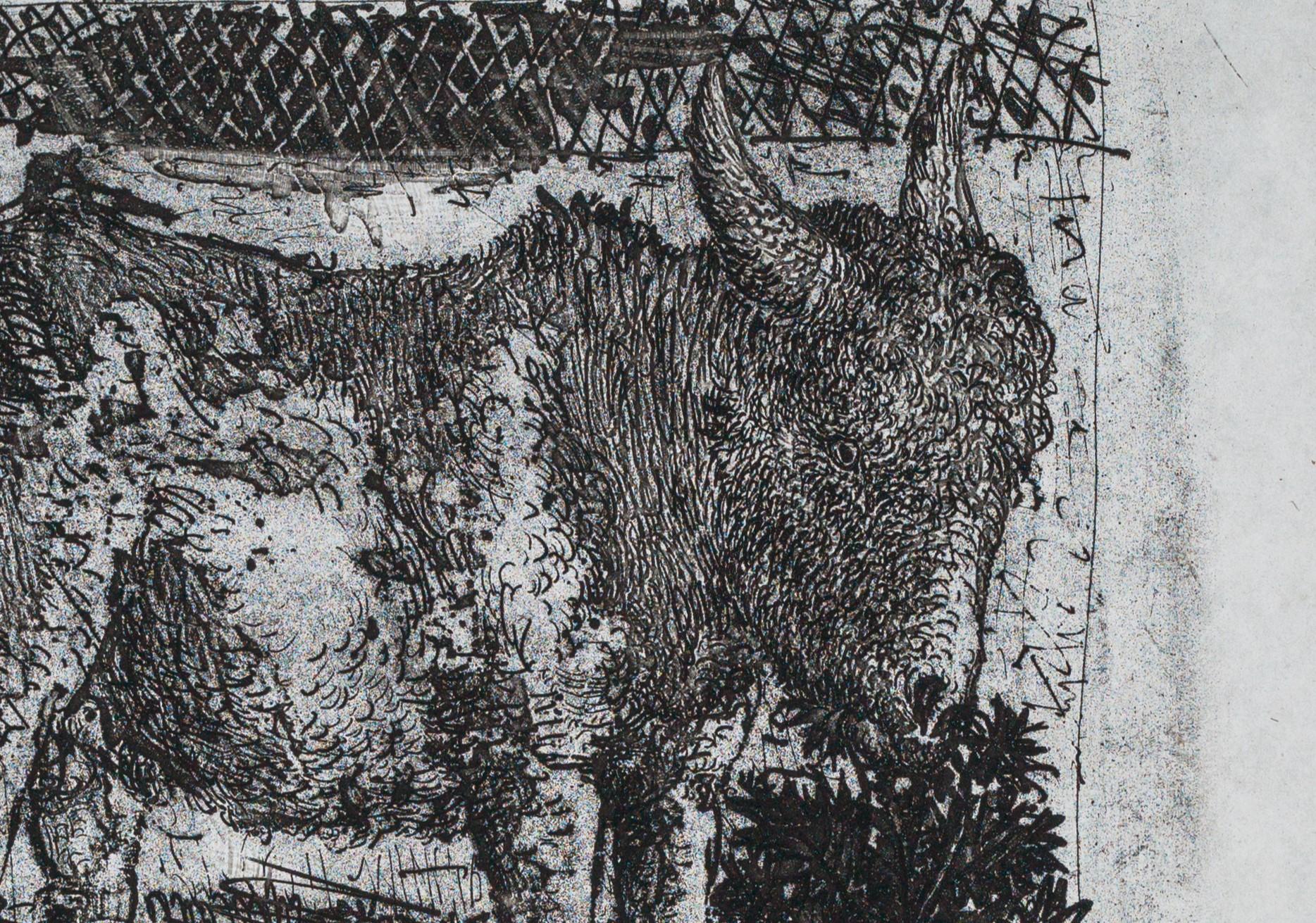 Der Esel ist ein Aquatinta- und Kaltnadelabzug auf Pergament aus einer der Luxusausgaben von Picassos 1942 erschienener Serie Histoire Naturelle - Textes de Buffon. Das Bild ist 10,5 x 8 Zoll groß, unsigniert und in einer zeitgenössischen