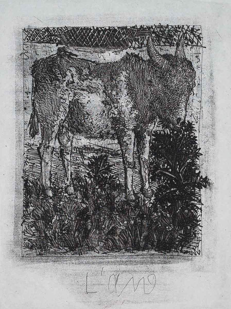 Pablo Picasso Animal Print - The Donkey, 1942 (Histoire Naturelle - Textes de Buffon, B.329)