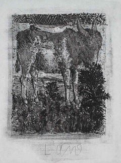 Vintage The Donkey, 1942 (Histoire Naturelle - Textes de Buffon, B.329)