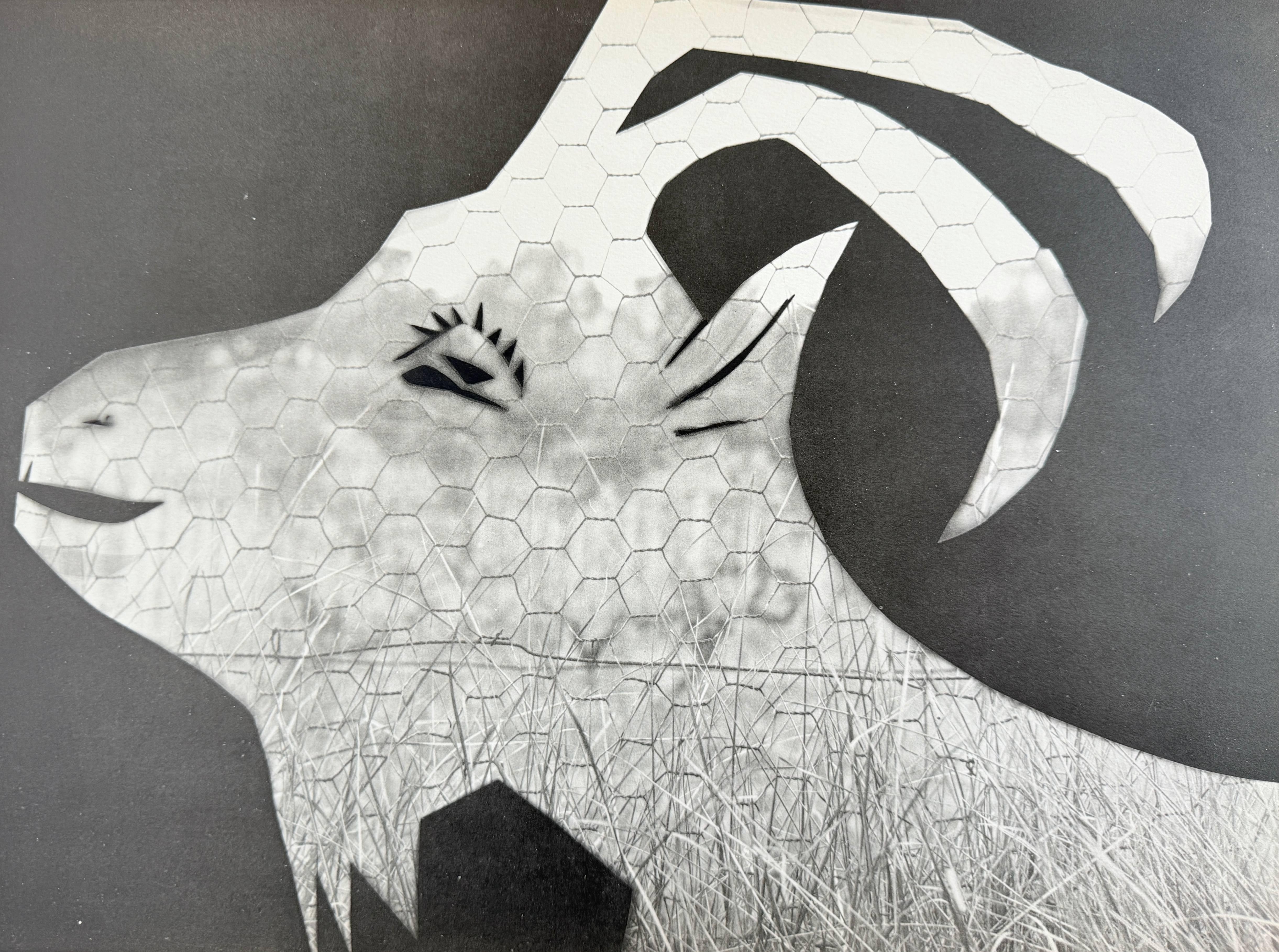 The Goat at the Fence - Modern Art by Pablo Picasso