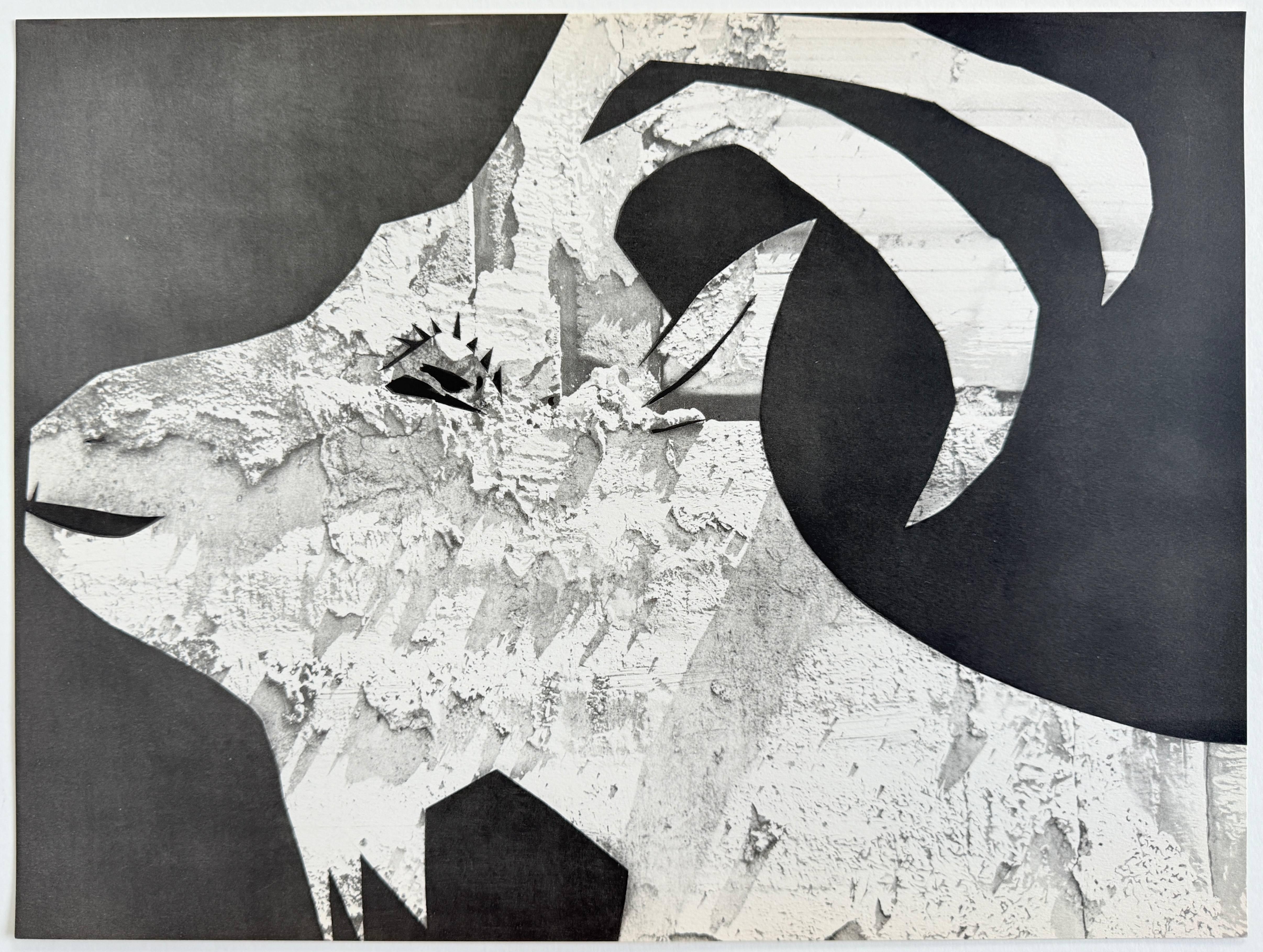 The Goat with Rubble - Gray Print by Pablo Picasso