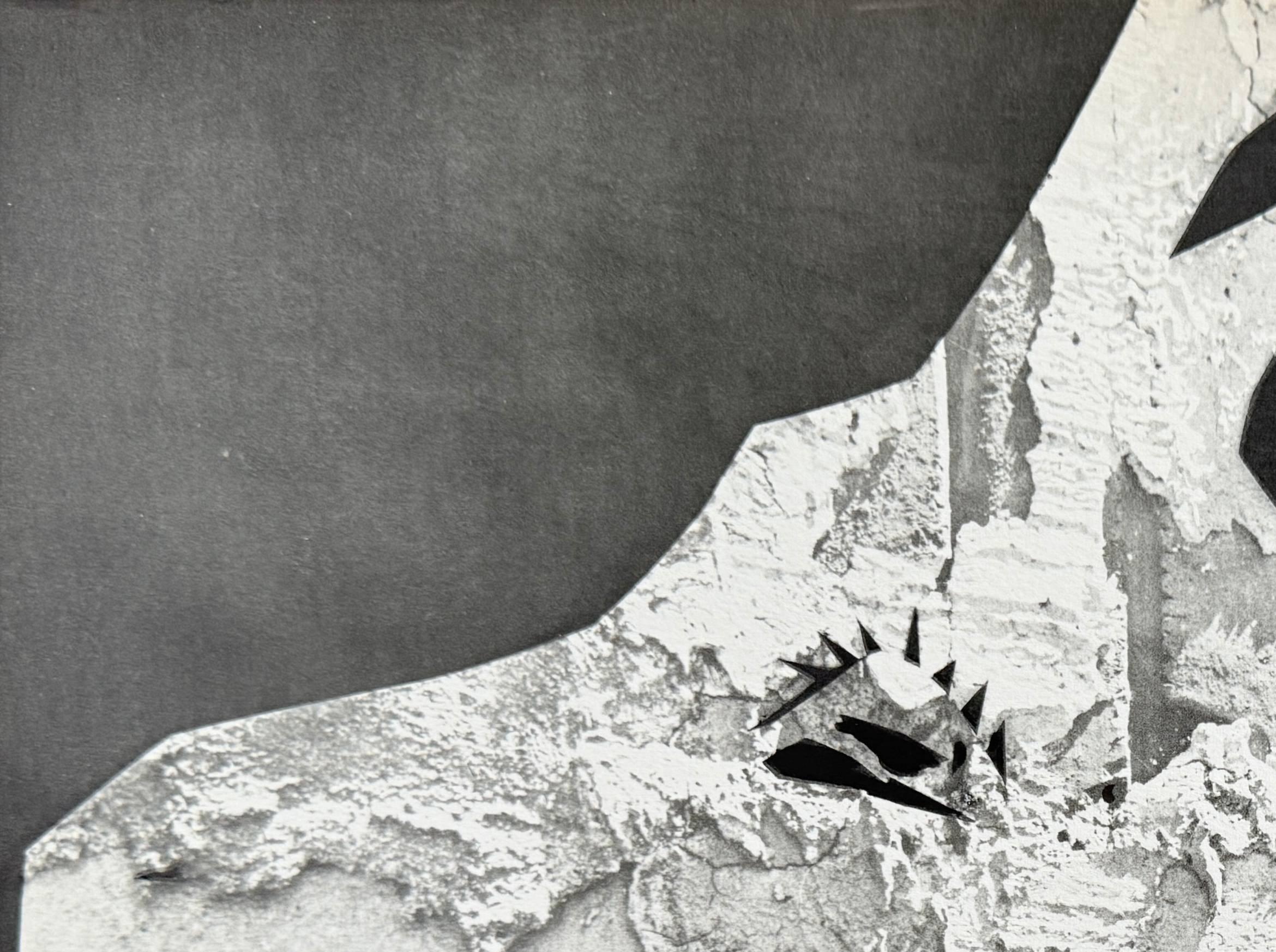 The Goat with Rubble For Sale 3