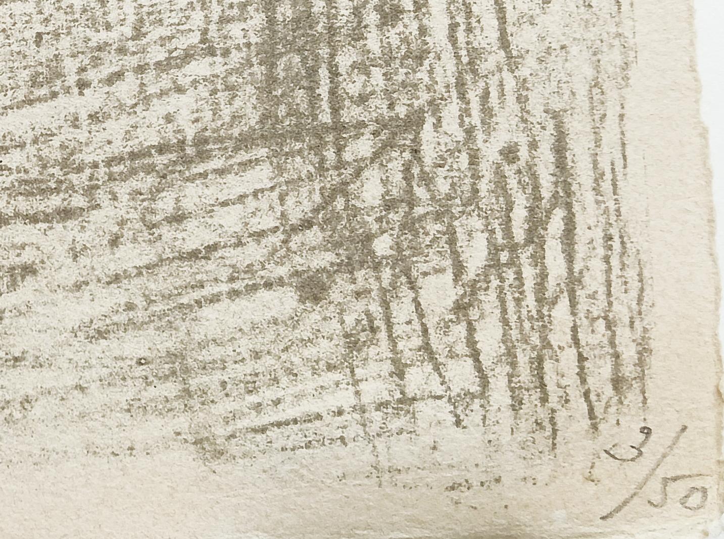 This original lithograph in colours is hand signed in pencil by the artist 