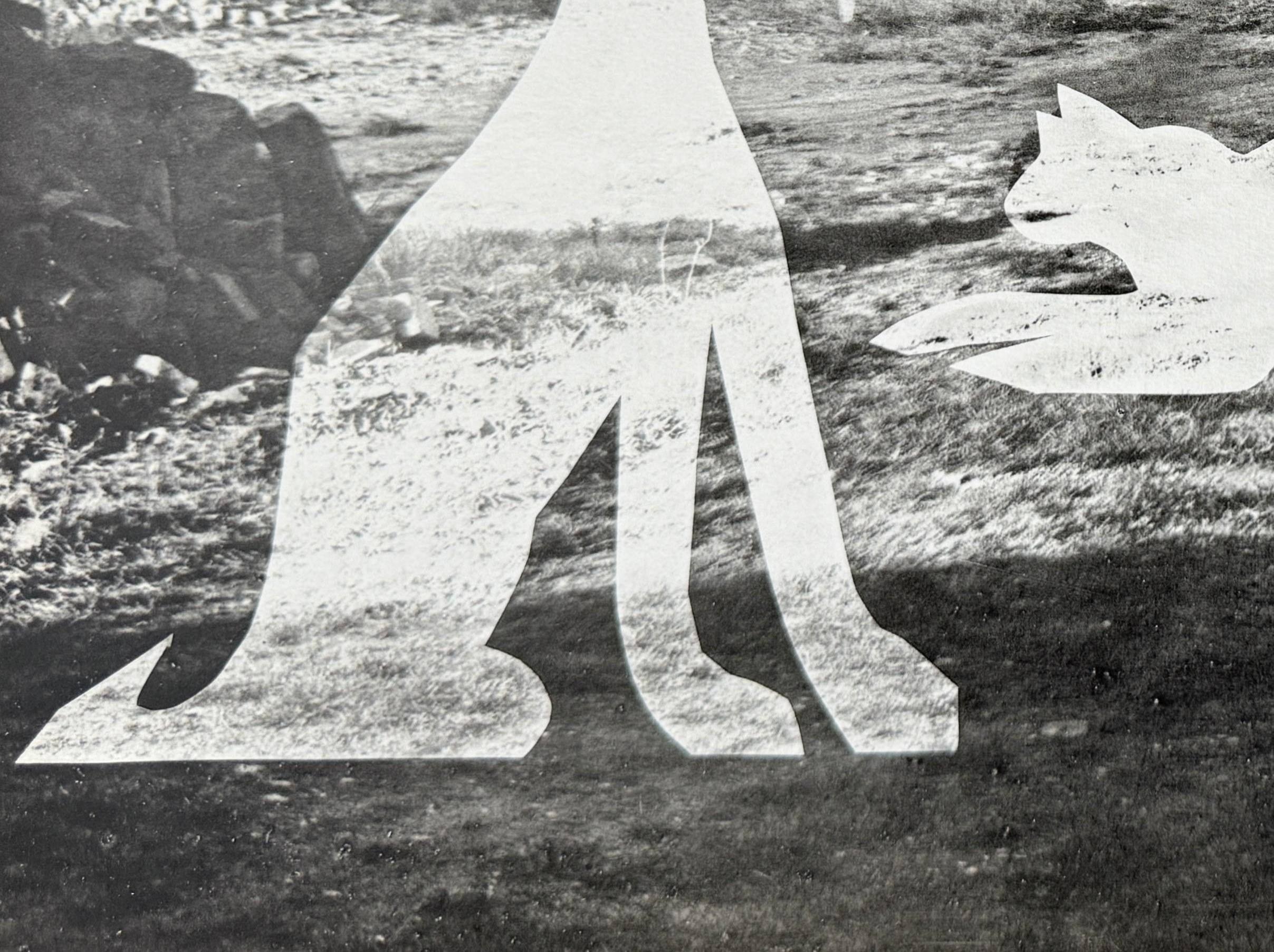 Pablo Picasso (1881-1973) - The Man with Cats II

Phototype and pochoir from 1962.

From the edition of 1,000 copies, this example is number 334, as noted in the colophon.

Dimensions of sheet: 40 x 30 cm

Dimensions in frame: 53.2 x 43.2