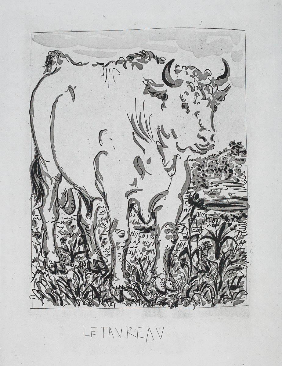 The Ox, 1942 (Histoire Naturelle - Textes de Buffon, B.330) – Print von Pablo Picasso