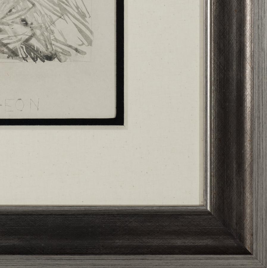 Die Taube ist ein Aquatinta- und Kaltnadelabzug auf Pergament aus einer der Luxusausgaben von Picassos 1942 erschienener Serie Histoire Naturelle - Textes de Buffon. Das Bild ist 10,75 x 8 Zoll groß, unsigniert und in einer zeitgenössischen
