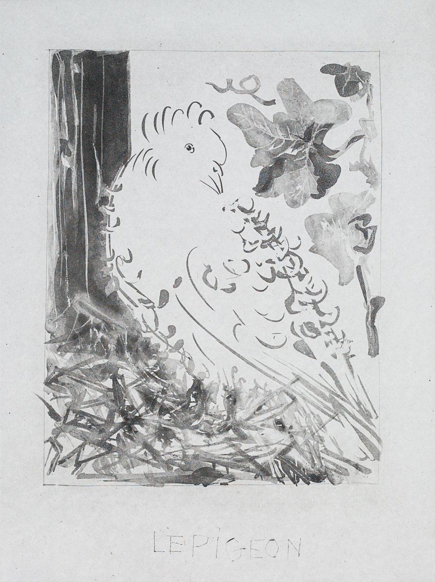 The Pigeon, 1942 (Histoire Naturelle - Textes de Buffon, B.347) – Print von Pablo Picasso