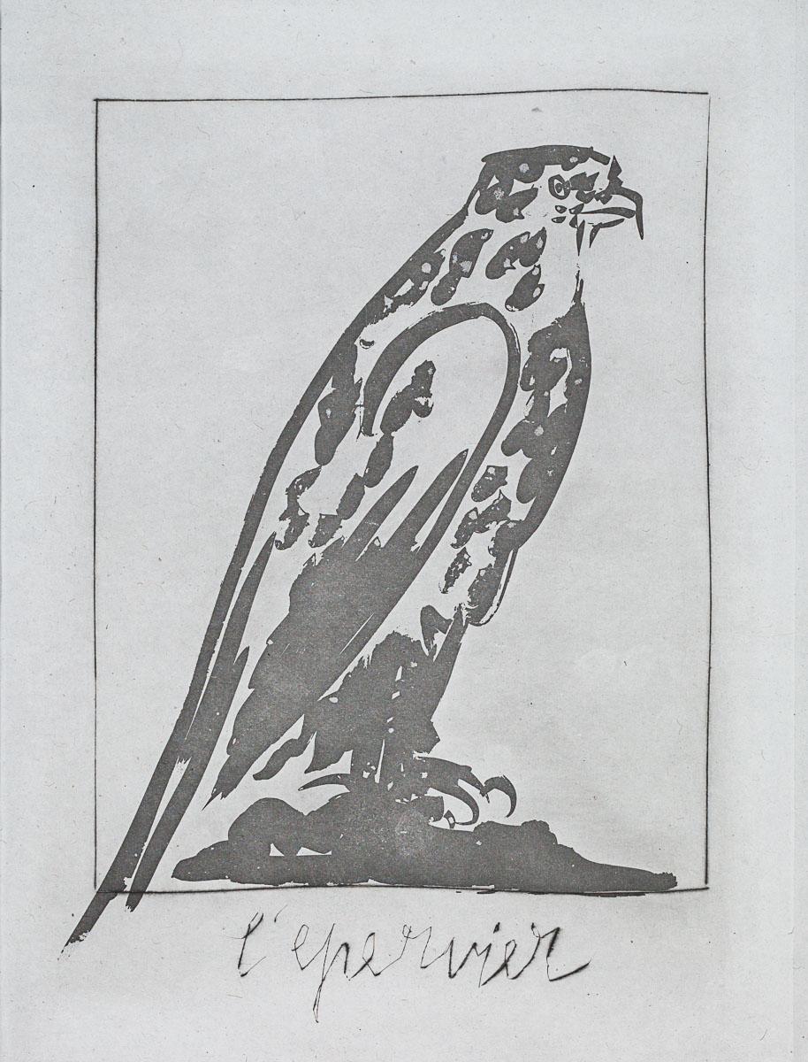 Pablo Picasso Animal Print - The Sparrow Hawk, 1942 (Histoire Naturelle - Textes de Buffon, B.342)