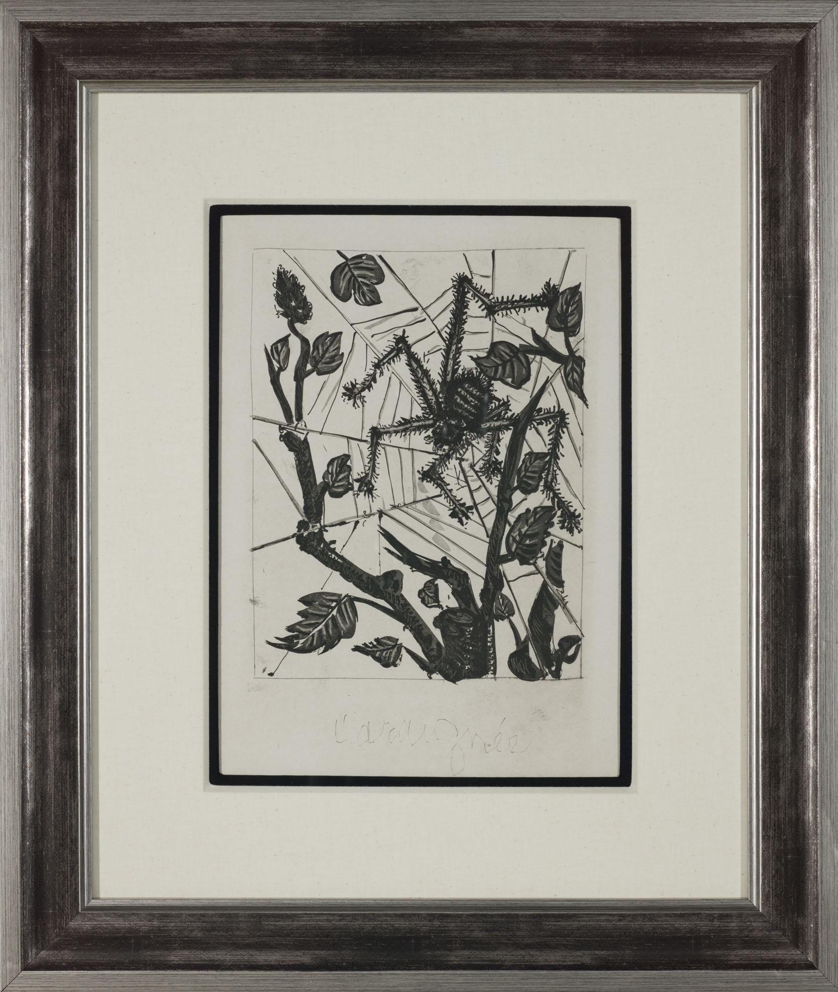 The Spider, 1942 (Histoire Naturelle - Textes de Buffon, B.353) (Moderne), Print, von Pablo Picasso