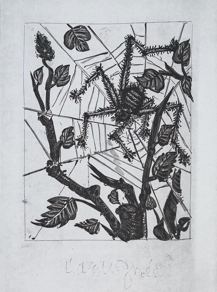 The Spider, 1942 (Histoire Naturelle - Textes de Buffon, B.353) - Print by Pablo Picasso