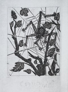 Vintage The Spider, 1942 (Histoire Naturelle - Textes de Buffon, B.353)