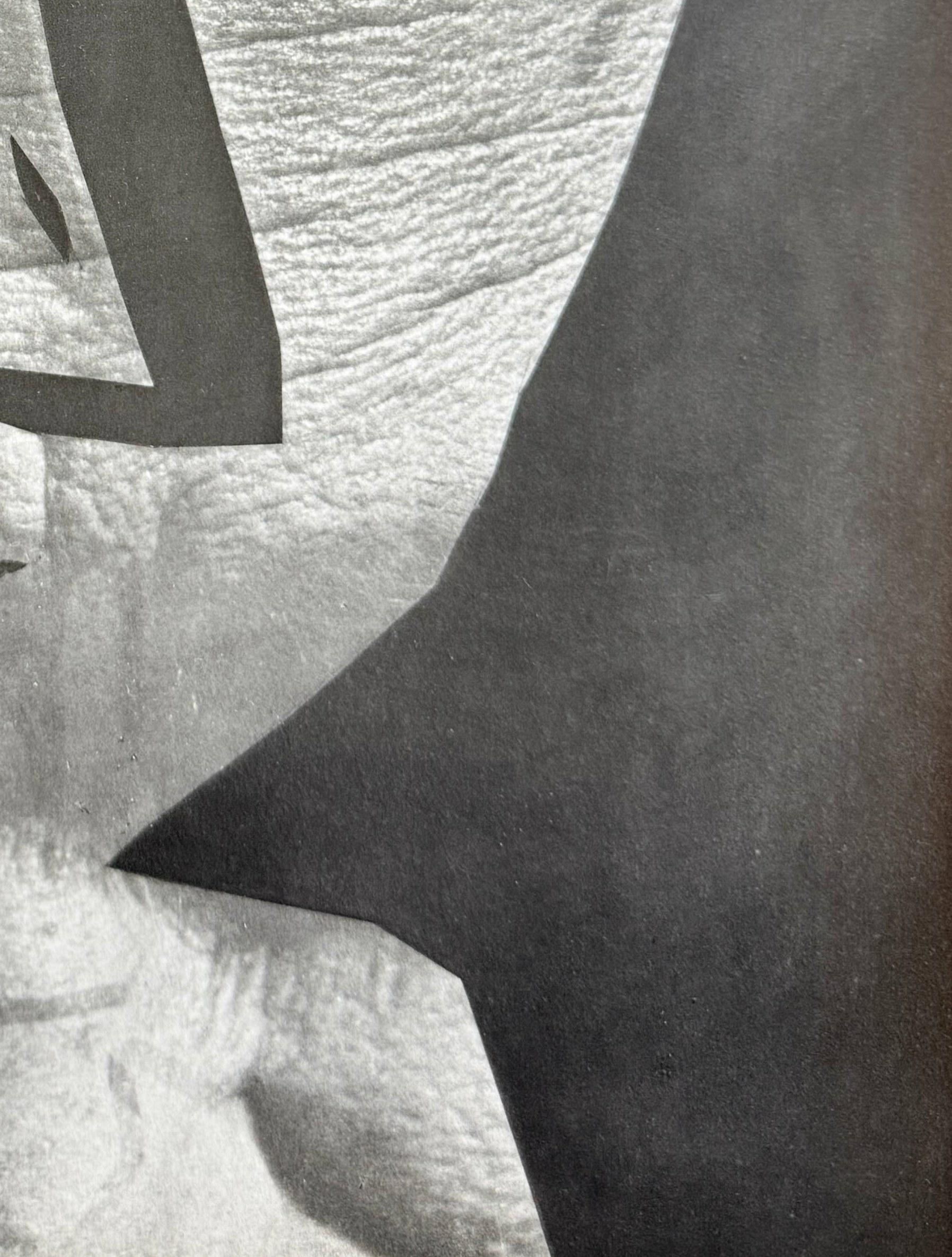 Pablo Picasso (1881-1973) - L'esprit de la critique d'art

Phototype et pochoir de 1962.

Tiré à 1 000 exemplaires, cet exemplaire porte le numéro 334, comme l'indique le colophon.

Dimensions de la feuille : 40 x 30 cm

Dimensions dans le cadre :