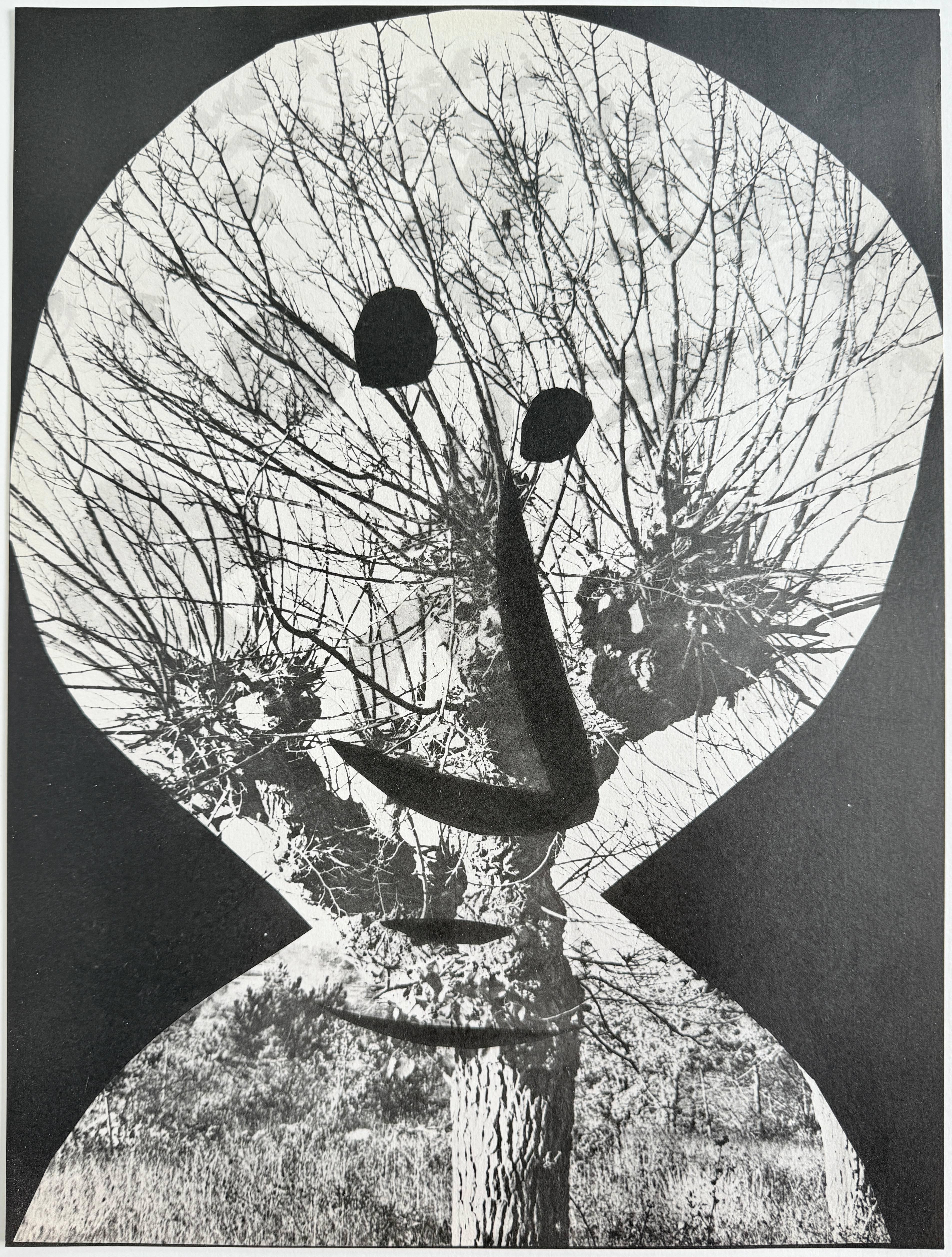 Pablo Picasso (1881-1973) - Le Corrigan dépouillé

Phototype et pochoir de 1962.

Tiré à 1 000 exemplaires, cet exemplaire porte le numéro 334, comme l'indique le colophon.

Dimensions de la feuille : 40 x 30 cm

Dimensions dans le cadre : 53,2 x