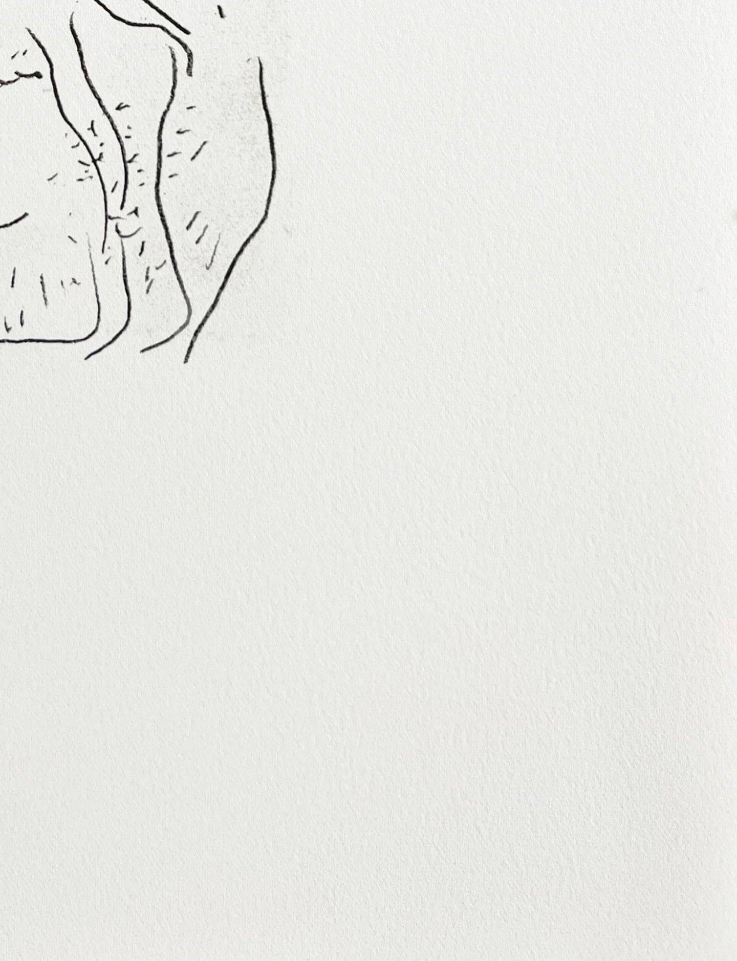 The Taste of Happiness, Planche XXVII For Sale 1