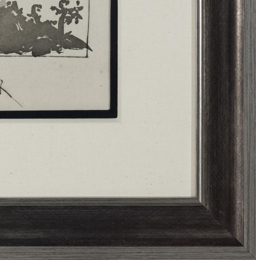 Le Vautour est une gravure à l'aquatinte et à la pointe sèche sur chine provenant de l'un des exemplaires de luxe de la série Histoire naturelle - Textes de Buffon, publiée par Picasso en 1942. La taille de l'image est de 10,6 x 8 pouces. Elle n'est