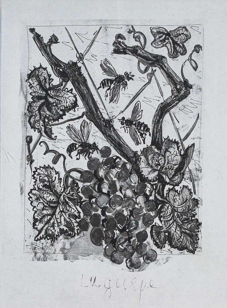 The Wasp, 1942 (Histoire Naturelle - Textes de Buffon, B.351) – Print von Pablo Picasso