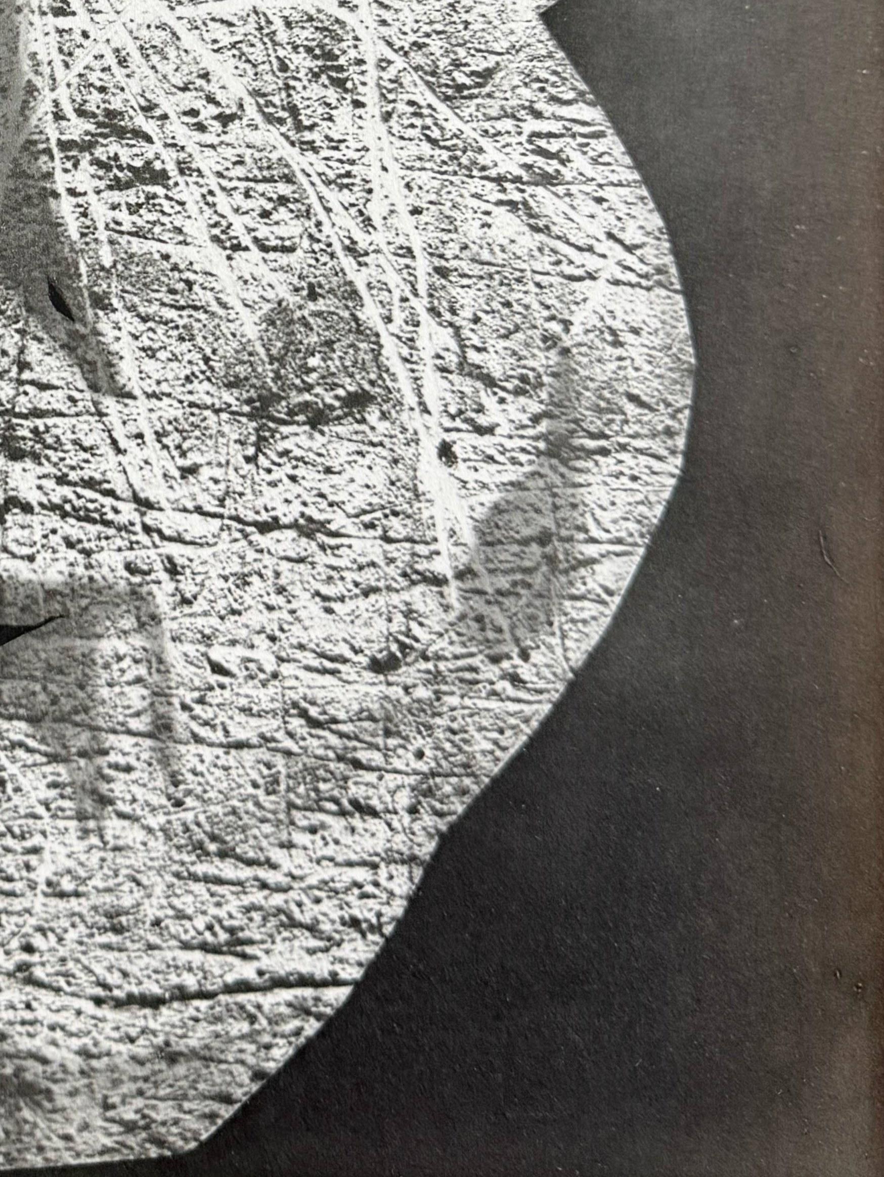 Tohu - Gris Print par Pablo Picasso