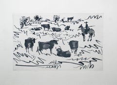 Toros en el Campo (Bulls in the Field)