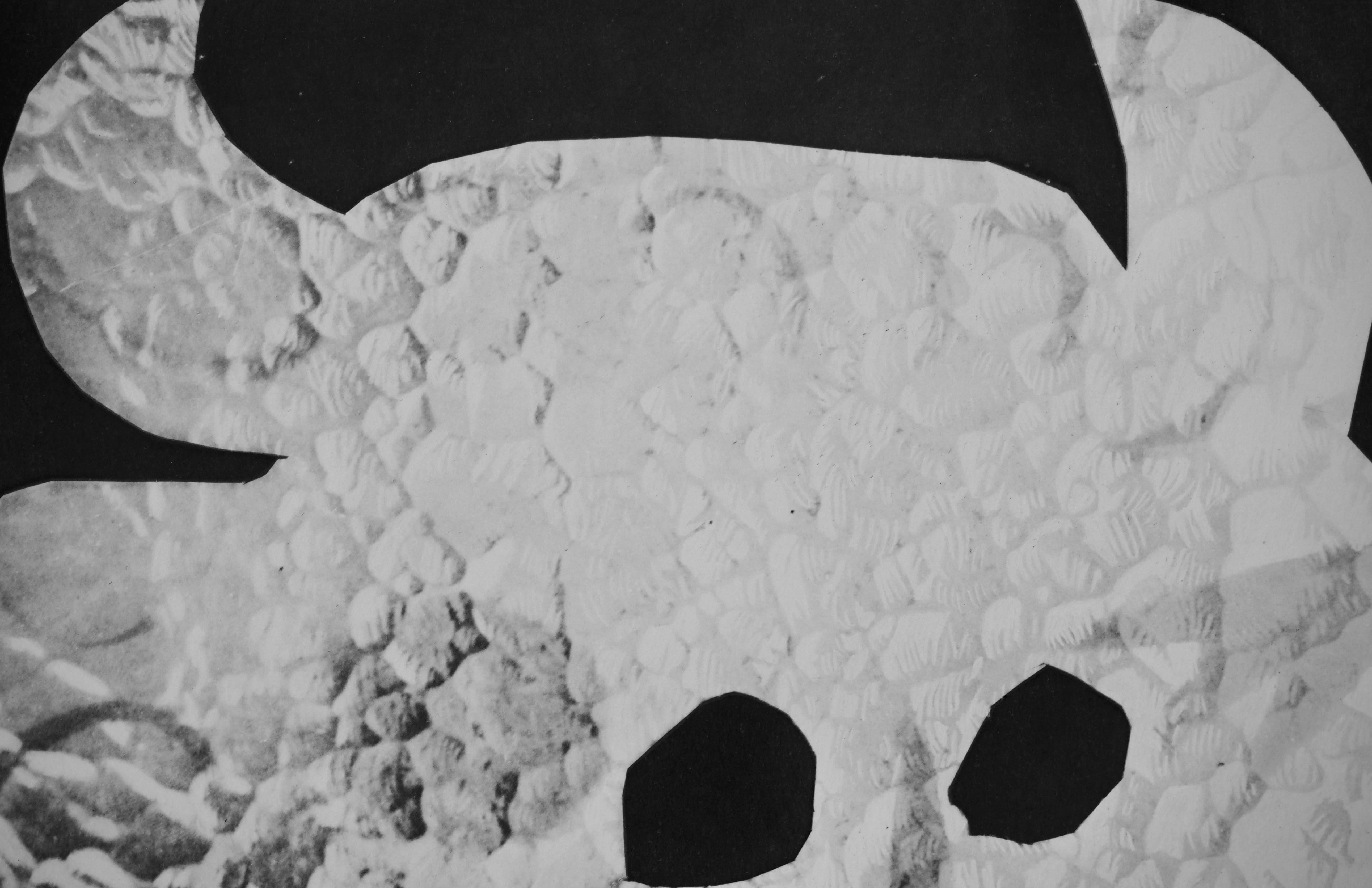 Urbi (Cramer 115), Diurnes - Print by Pablo Picasso