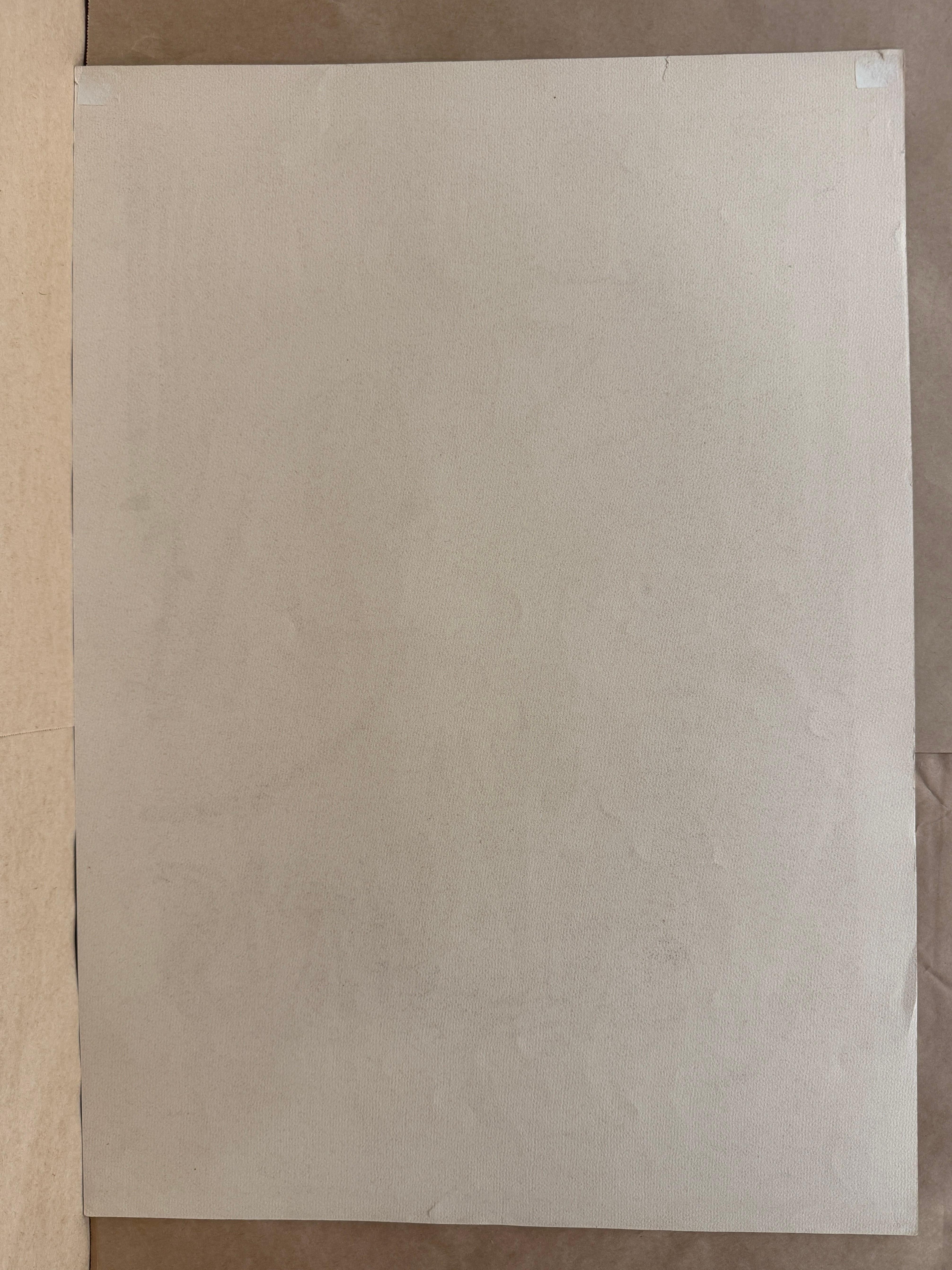 Vallauris (Beige) by Pablo Picasso For Sale 4