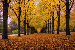 Herbst in Deutschland