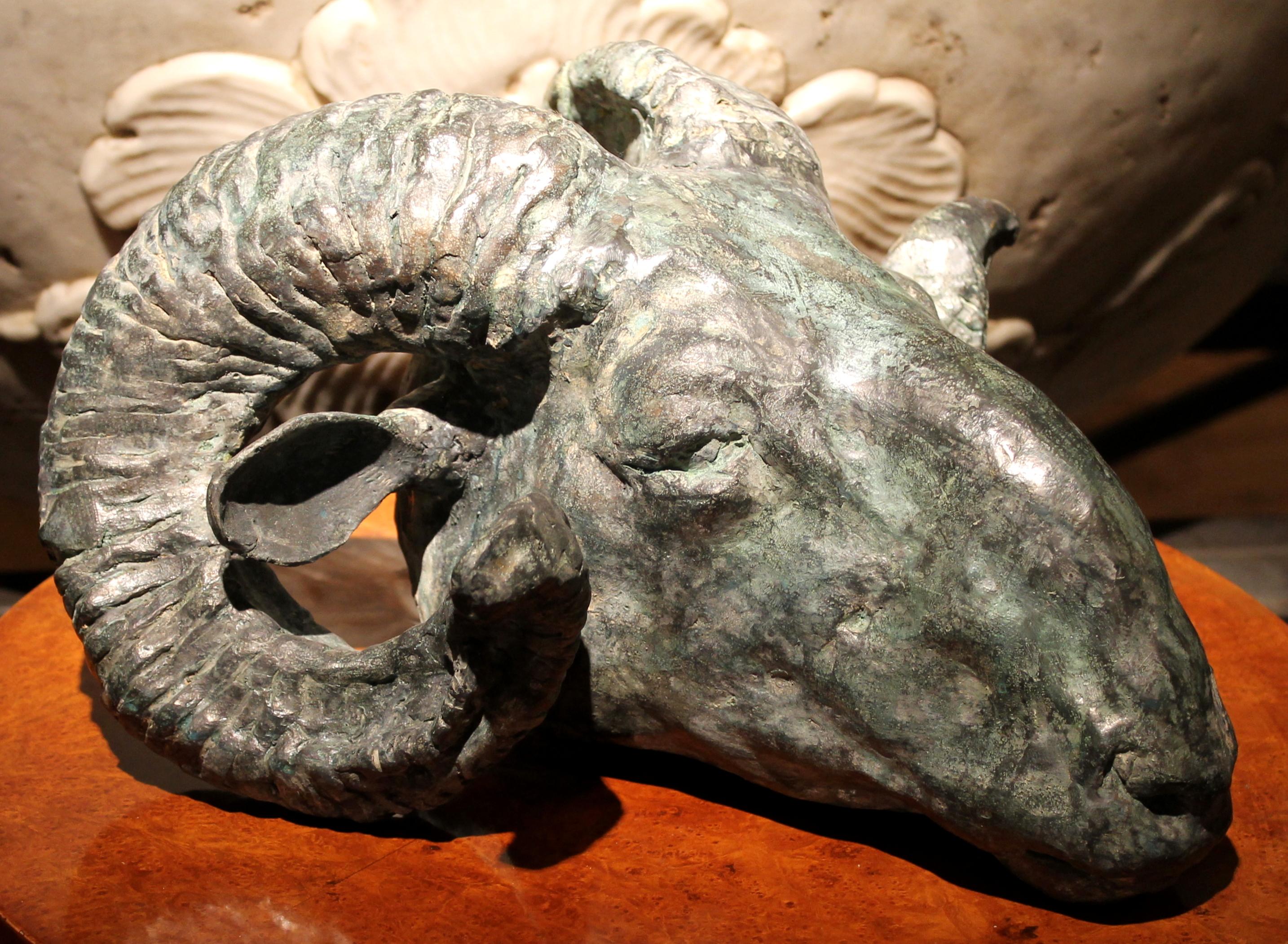 Contemporary Ram's Head Bronze Sculpture Lost Wax Casting Technique Green Patina