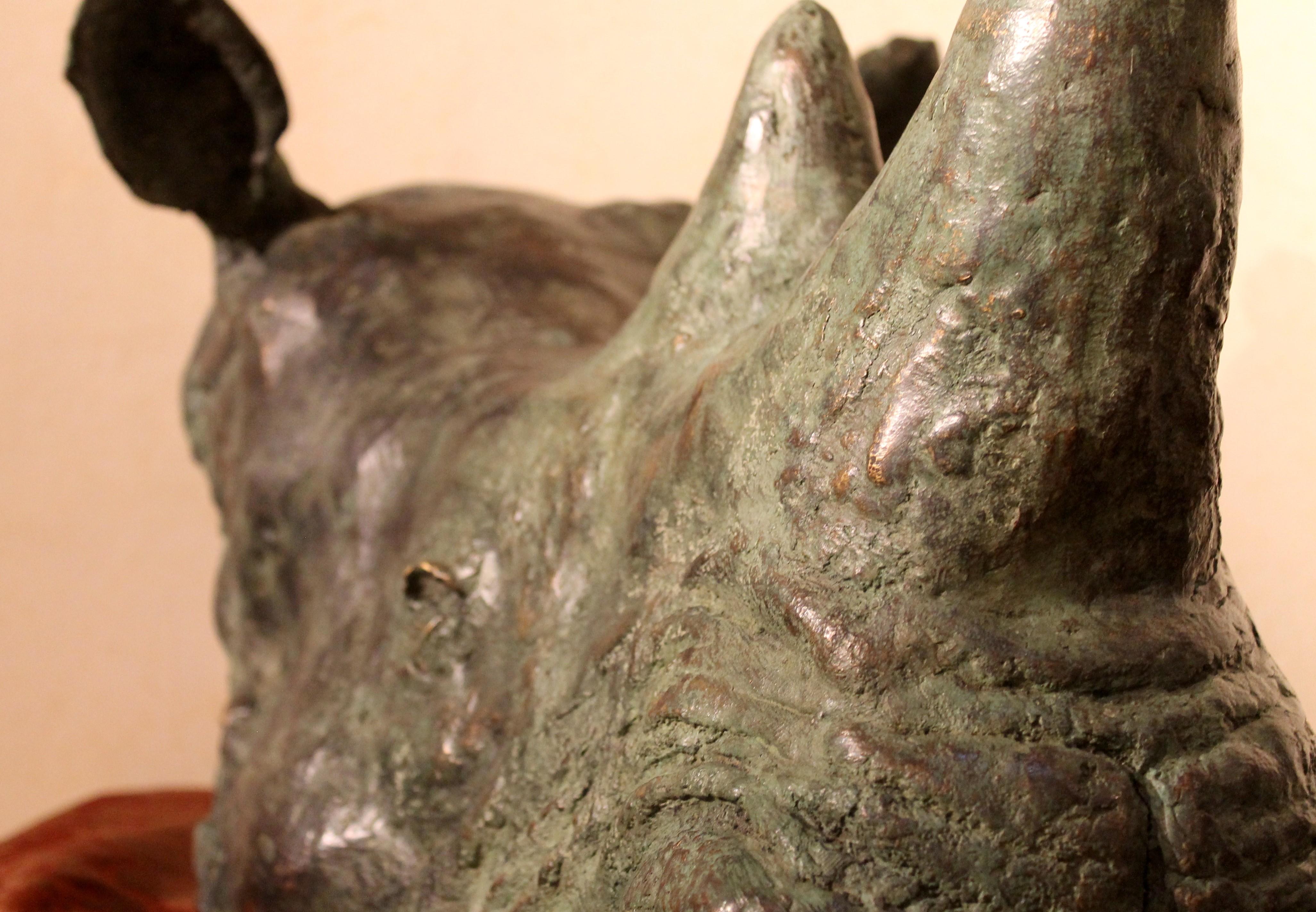 Sculpture murale contemporaine en bronze à tête de trophée de rhinocéros avec finition en patina verte en vente 3