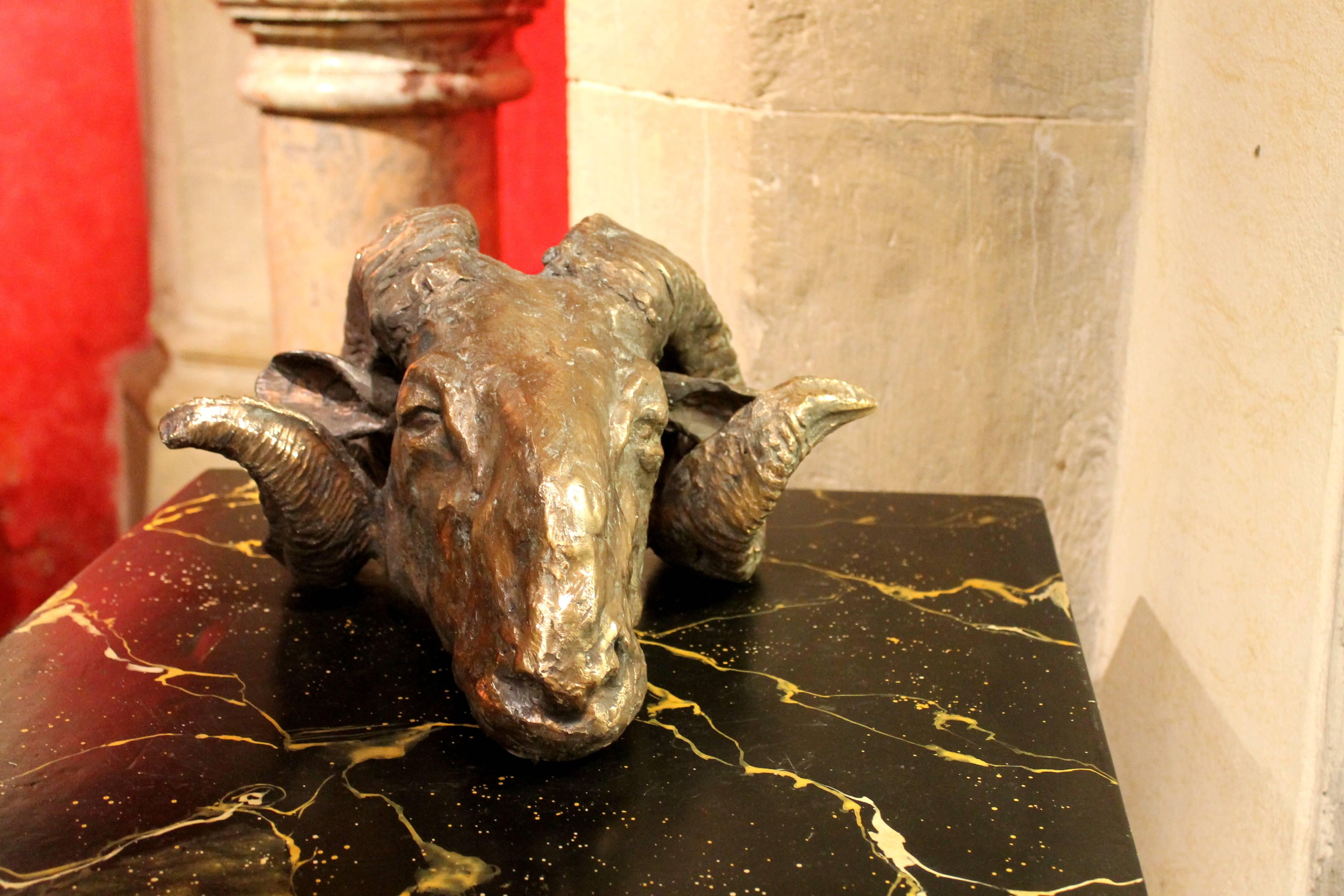 This contemporary solid bronze sculpture of a ram's head is inspired by the art of Ancient Rome and Ancient Greece with a reference
to neoclassicism.
The artist is able to attribute incredible details to this work of art featuring an aries with a