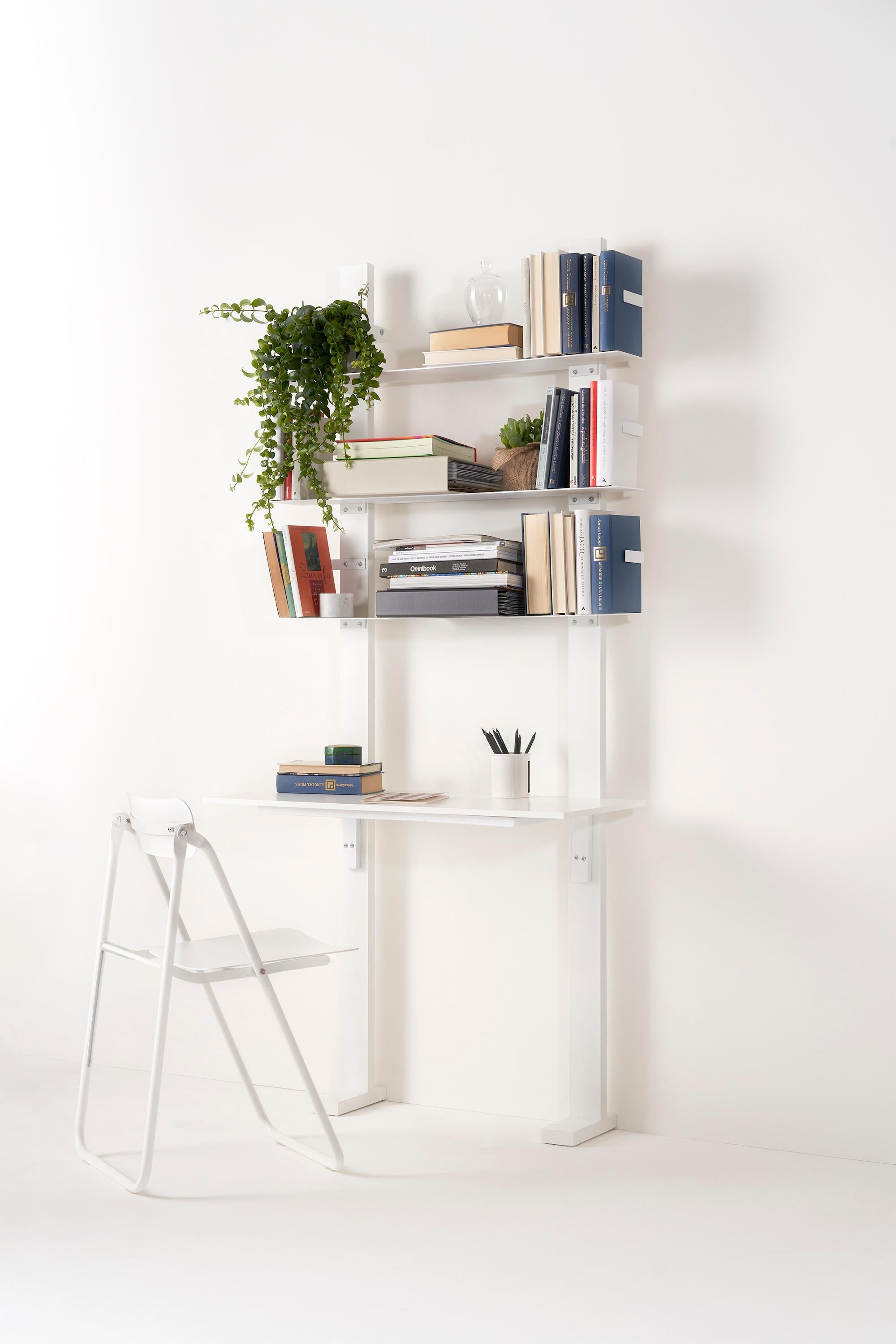 Contemporary Pacifico Bookcase by Lapo Ciatti For Sale