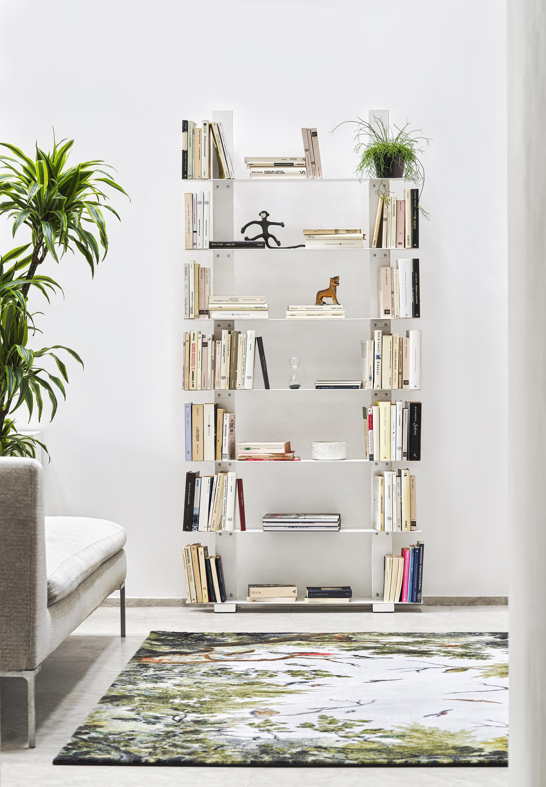 Modern Pacifico Evolution Bookcase by Lapo Ciatti For Sale