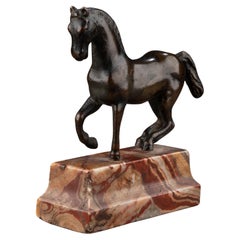 Pacing Horse - Italian School, 18th century