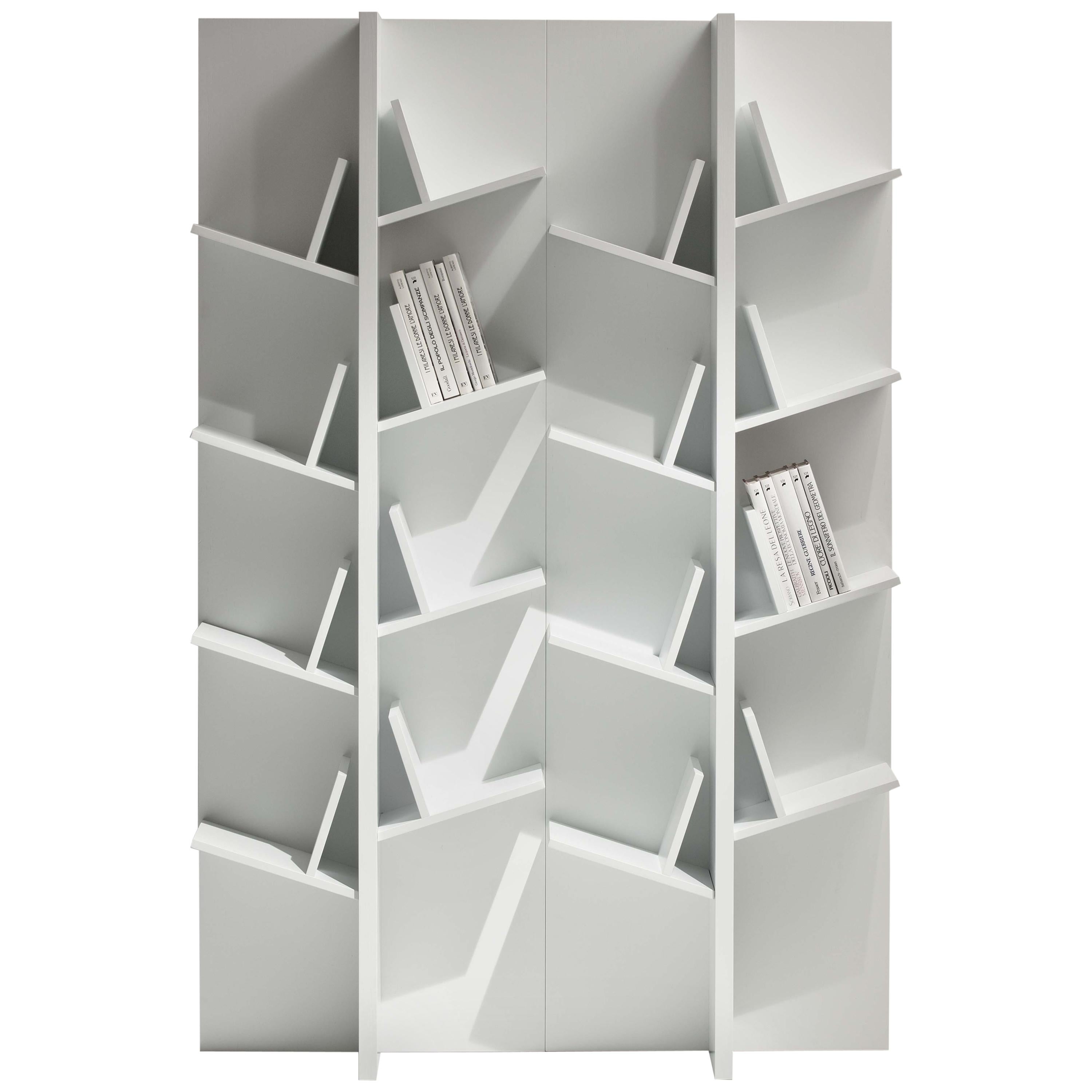 Pacini & Cappellini Tree Bookcase in Glass & Veneered Wood by Cristina Palear For Sale
