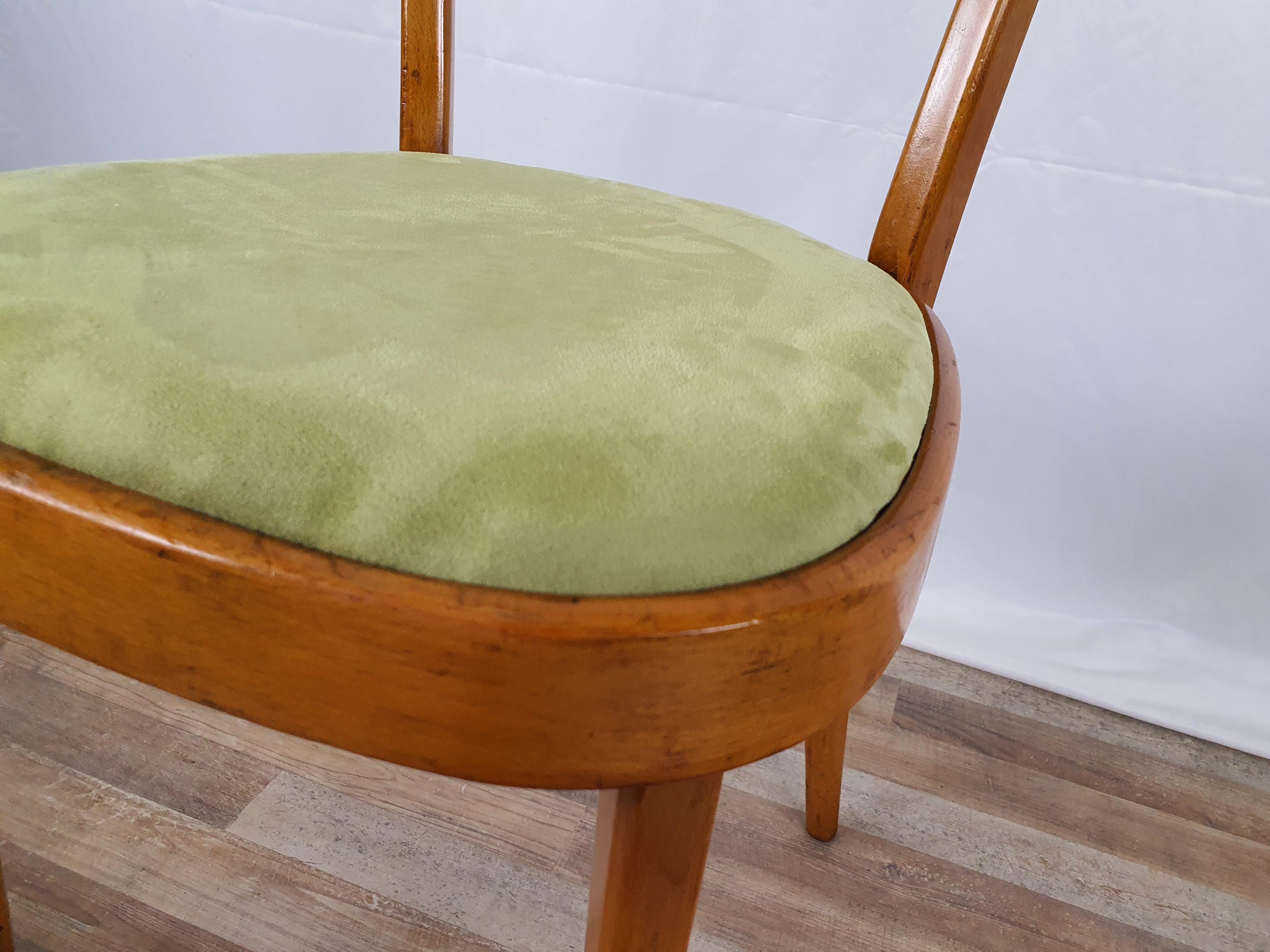 Padded Beech Chair from the 1950s 3