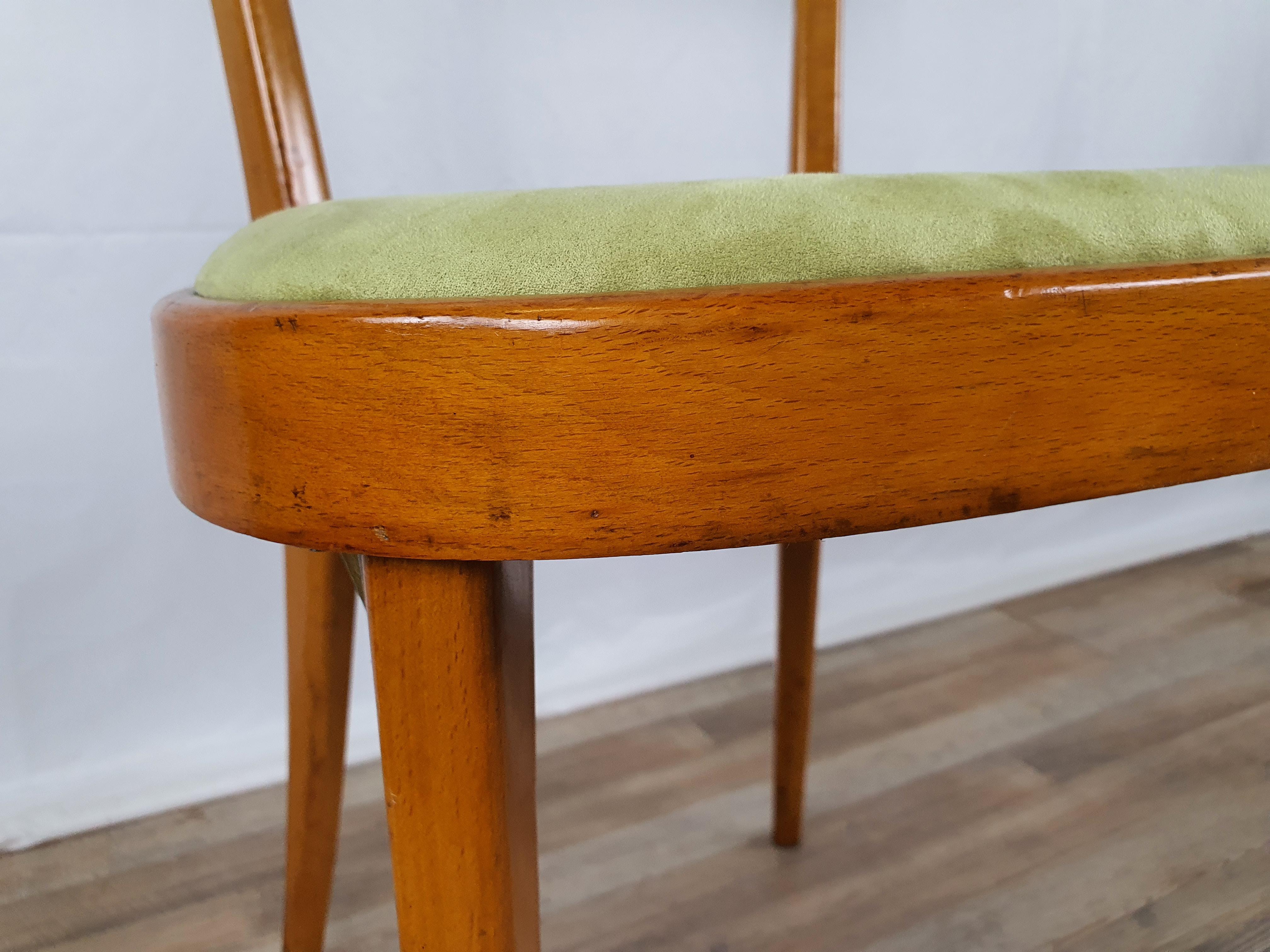 Padded Beech Chair from the 1950s 5