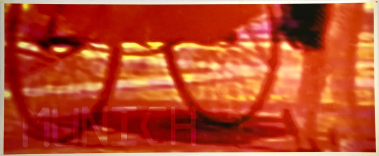 Large Digital Iris Print Color, Munich, Germany Pony Girl, California Artist, 1996, by Pae White, offered by Lions Gallery