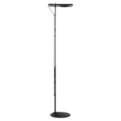 Floor Lamps