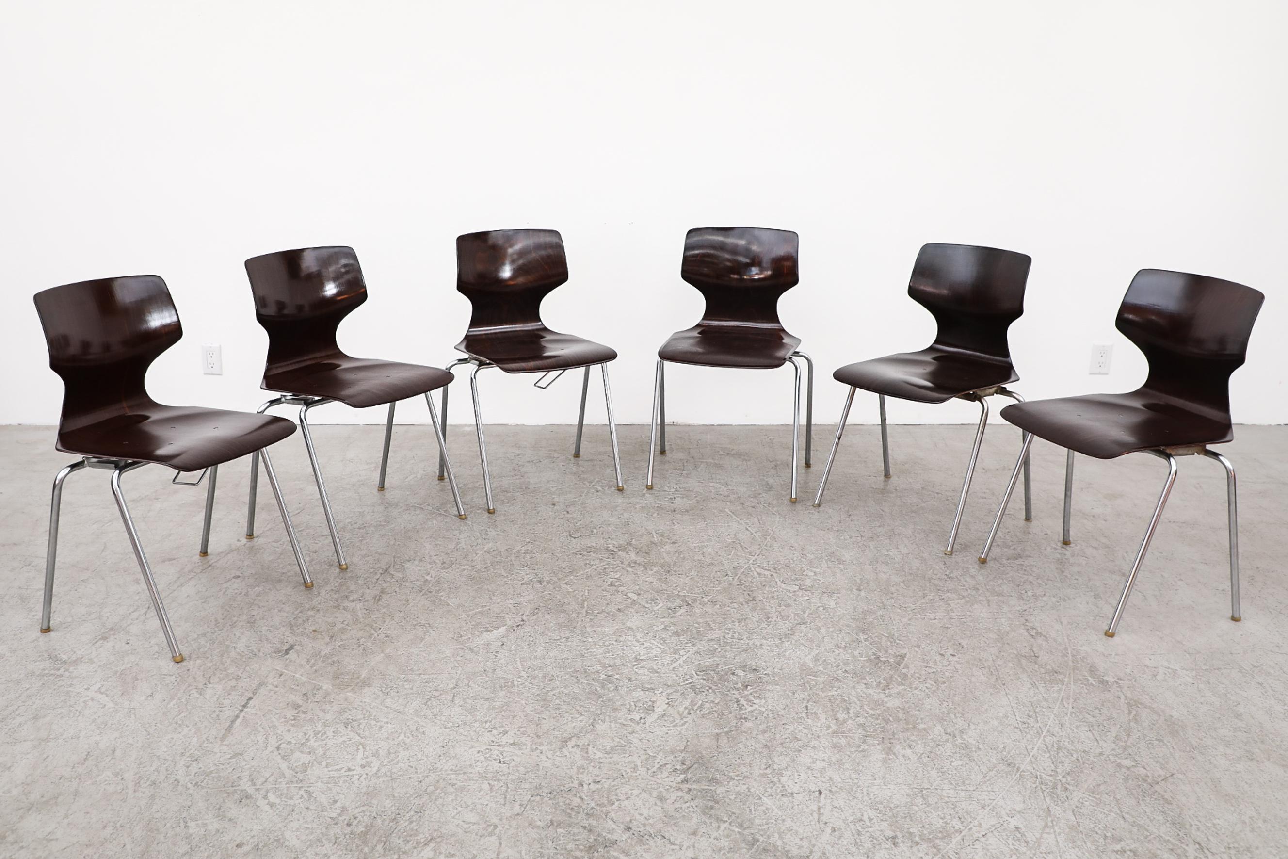 1970s Dark stained wingback stacking chairs by Flötotto. These chairs have a single shell seat with chrome legs. Each chair has a hook on one side so they can be attached to make a bench. Seat shells vary in color from dark brown to a darker