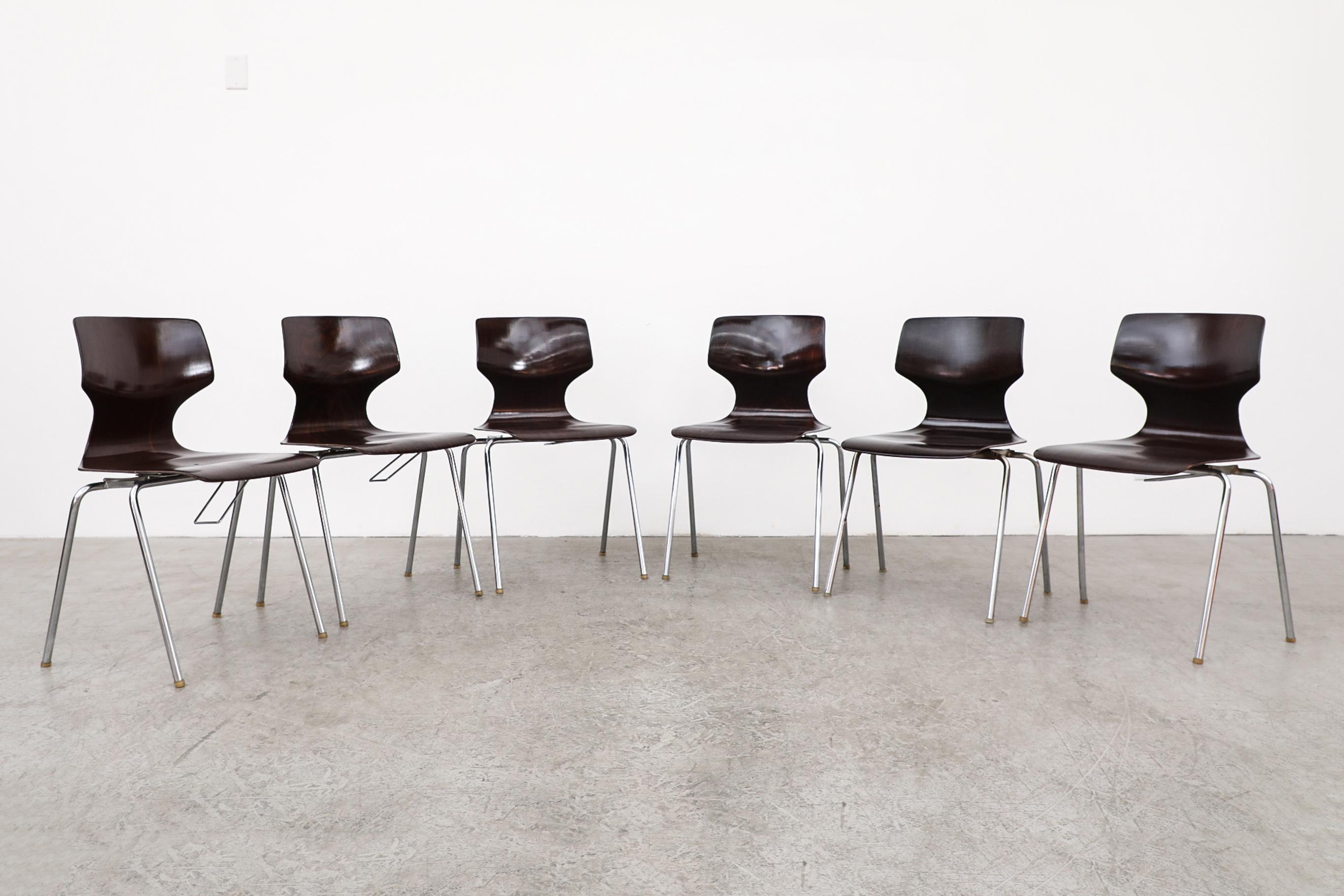 Mid-Century Modern Pagholz Flötotto Dark Brown Wingback Stacking Chairs with Chrome Legs, 1970s
