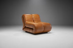 "Pagrù" Lounge Chair by 1P, Italy, 1960s