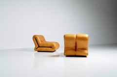 Pagru Lounge Chairs Claudio Vagnoni 1P Italy 1971