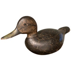 Used Paint Decorated Wood Duck Decoy Attributed to Julius Mittlestead