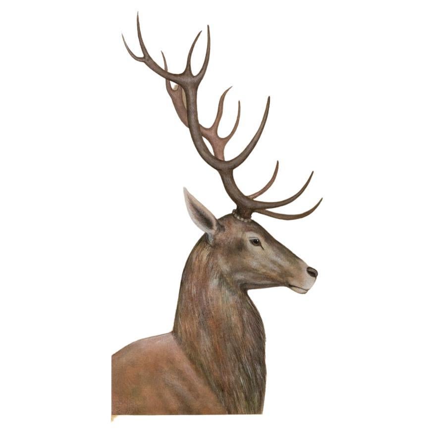 Painted Canvas Representing a Deer, Contemporary Work