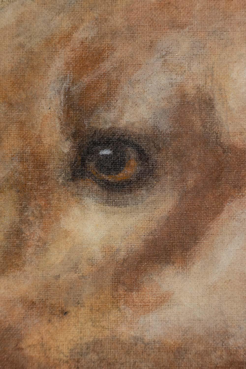 20ième siècle Toile peinte représentant un chien. Travail contemporain. en vente