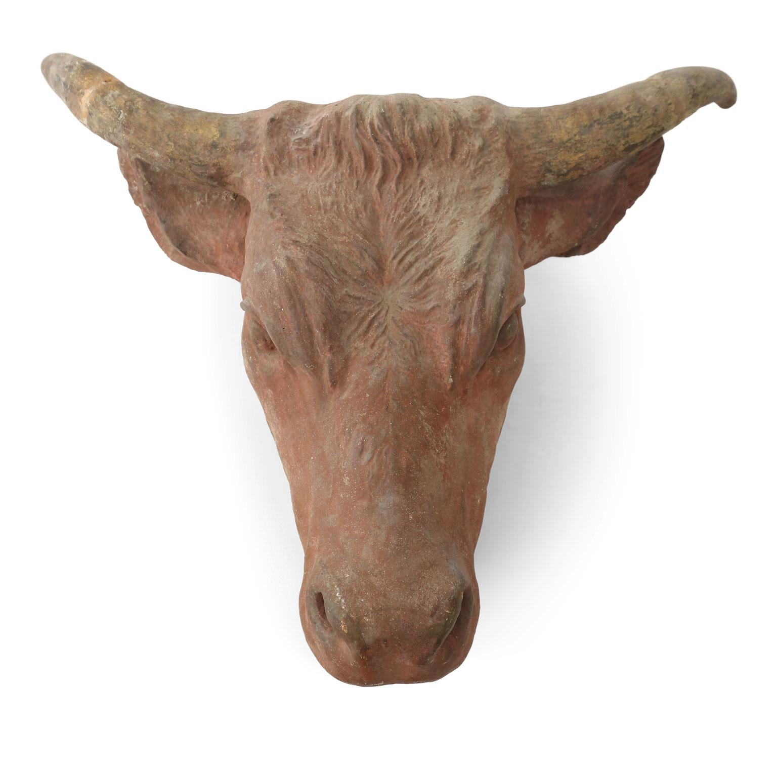 Wonderfully detailed concrete cow head (tête de vache) architectural element. Painted in subtle soft, yet realistic color. Iron bar hidden inside back of the neck for easier wall installation.