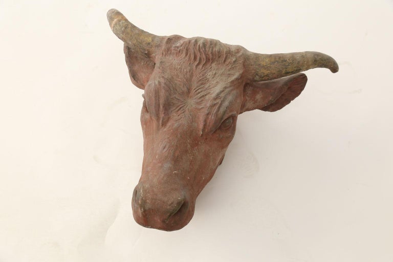 Wonderfully Detailed Concrete Cow Head For Sale at 1stdibs