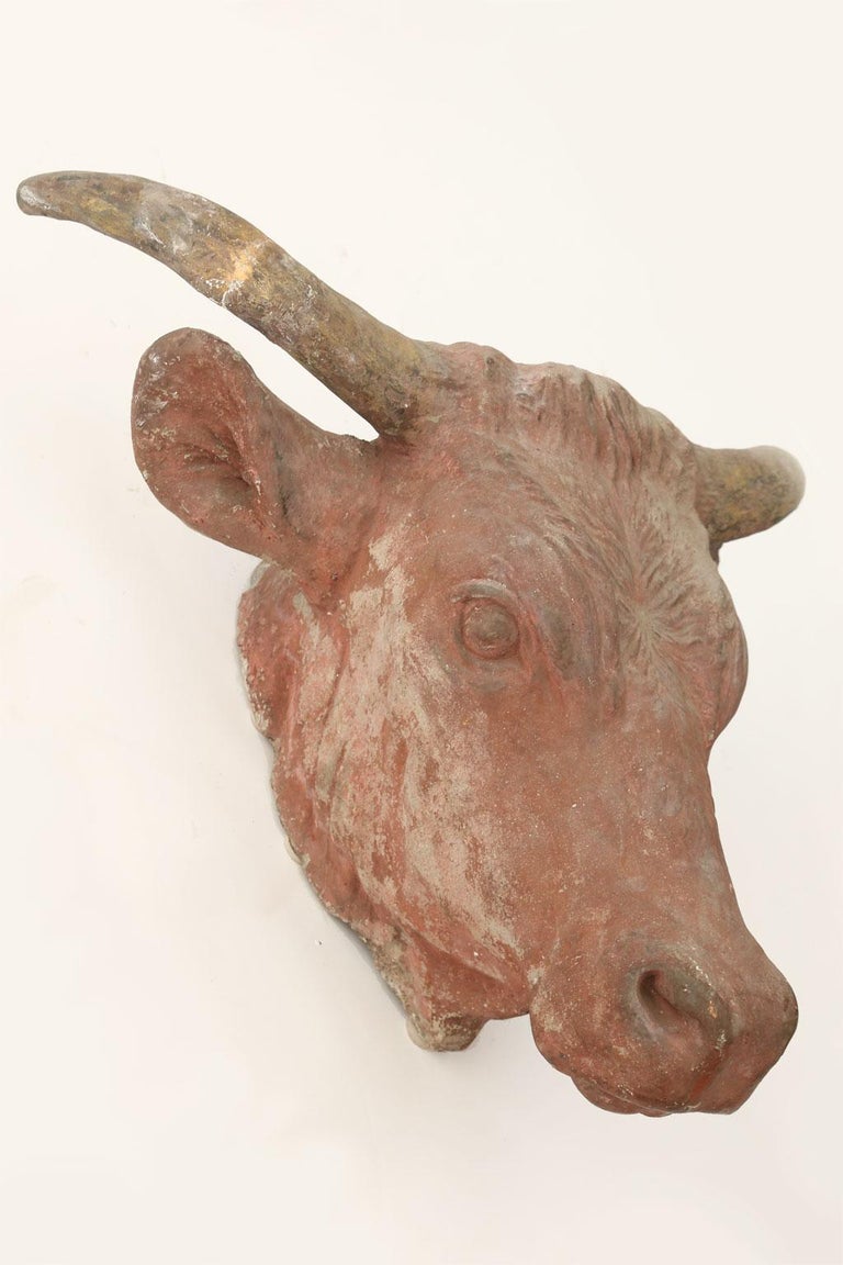 Wonderfully Detailed Concrete Cow Head For Sale at 1stdibs