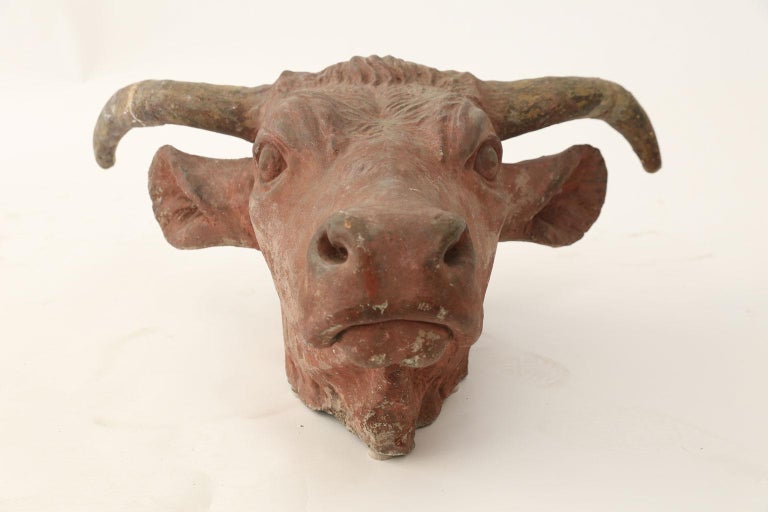 Wonderfully Detailed Concrete Cow Head For Sale at 1stdibs