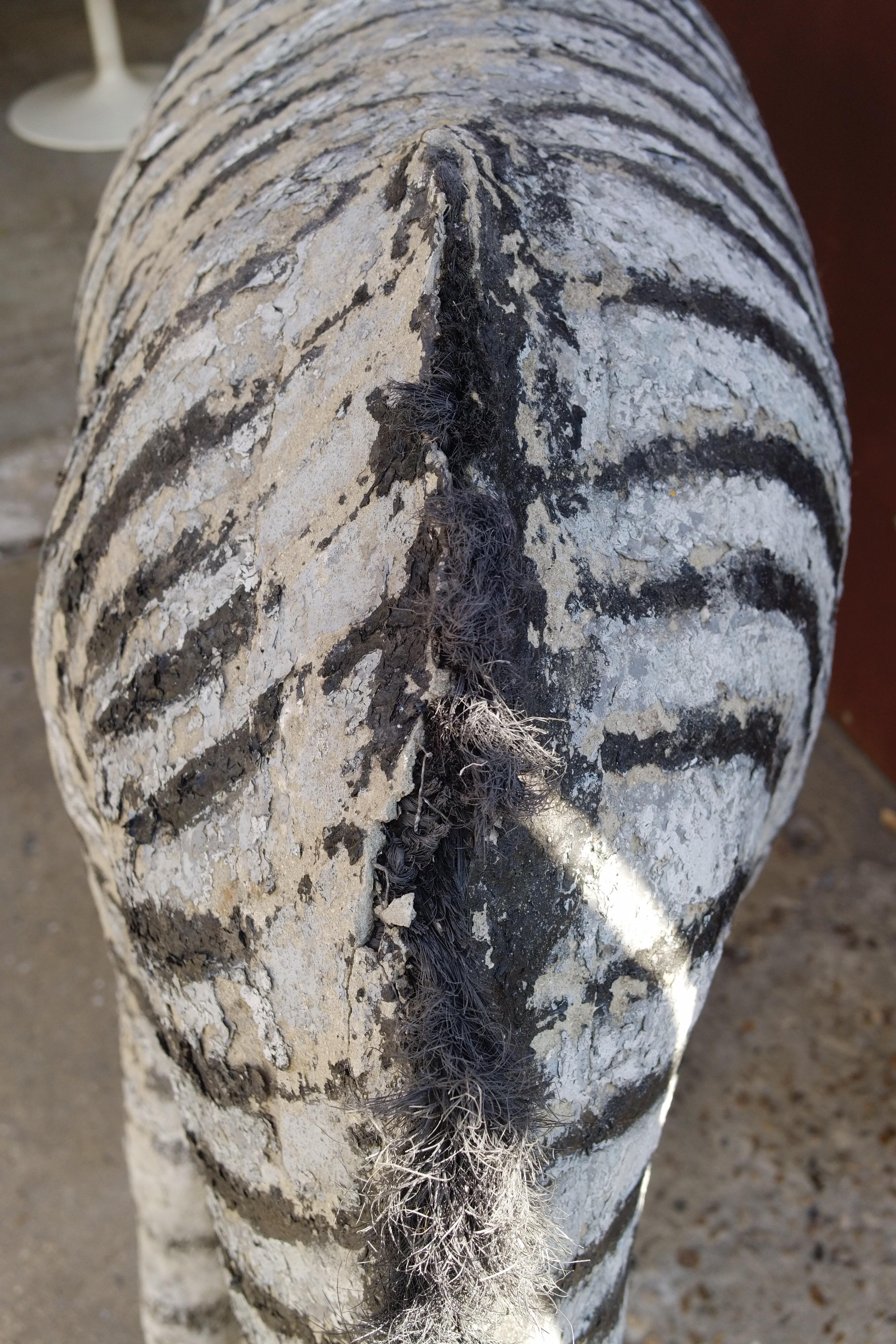 Painted Concrete Zebra Coming from a Normandy Zoo, circa 1900 For Sale 2